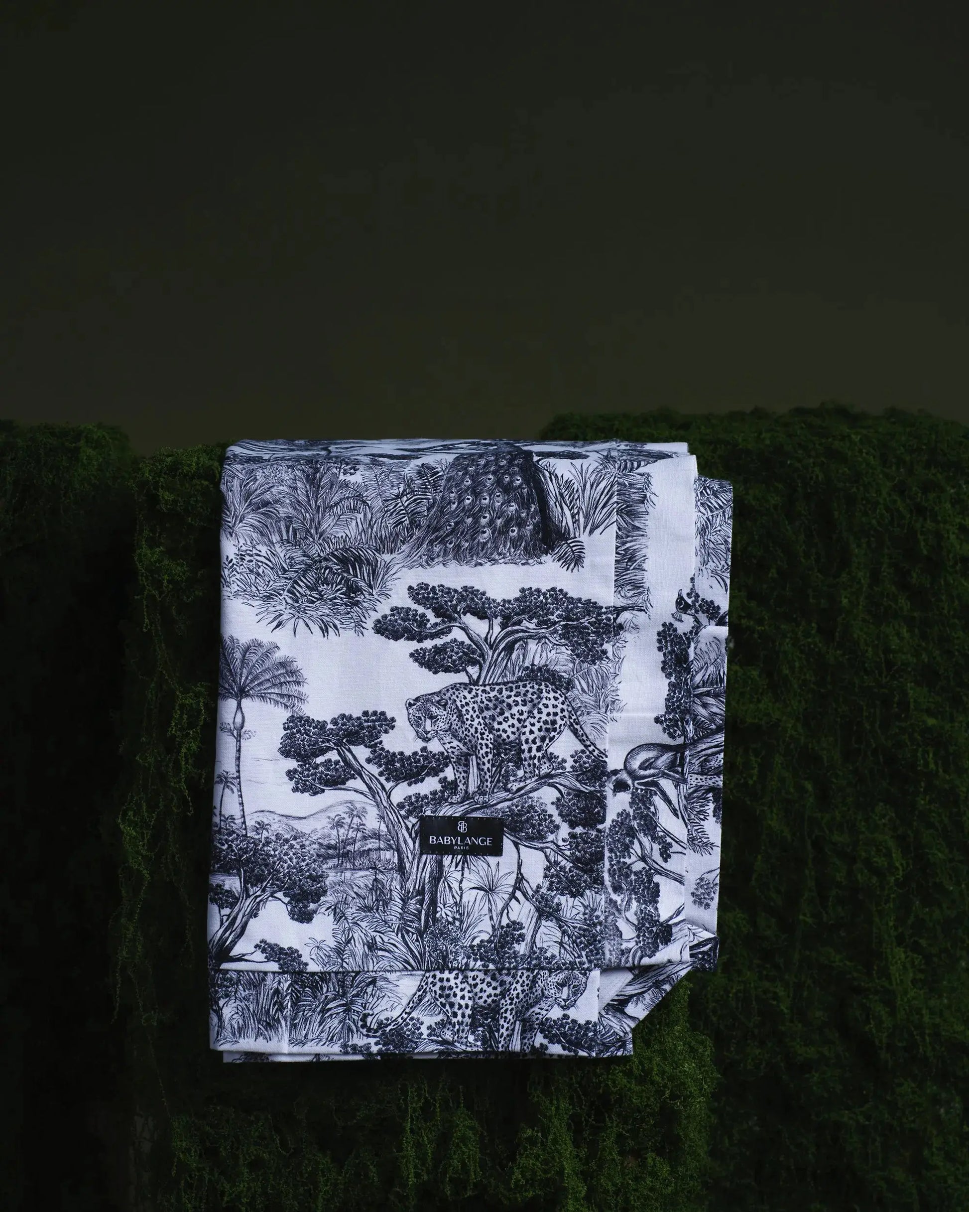 Couverture Liane Babylange